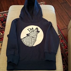 GUC Gymboree Hoodie Pullover Size XS